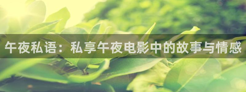 蝴蝶传媒飘花影院
