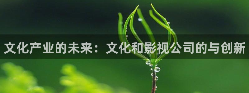 飘花电影理伦片