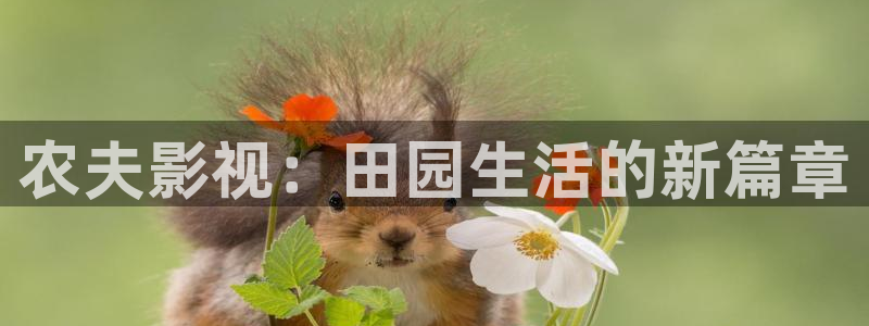 飘花电影网 午夜电影