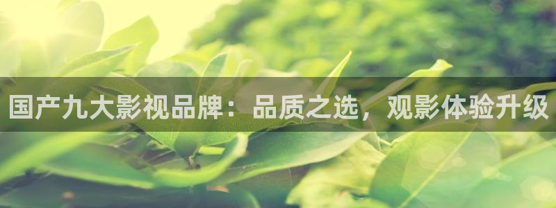 飘花秋霞电影