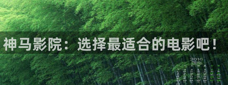 飘花影院天美视频