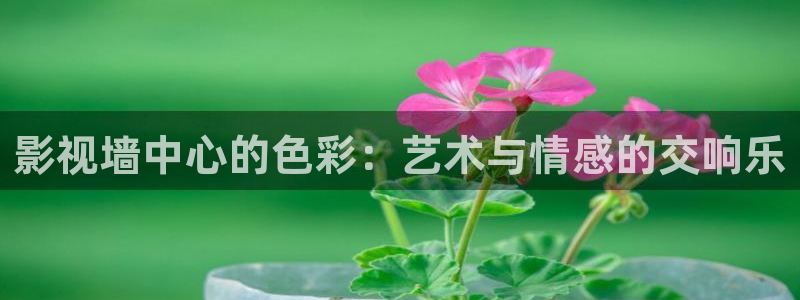 飘花电影网在线